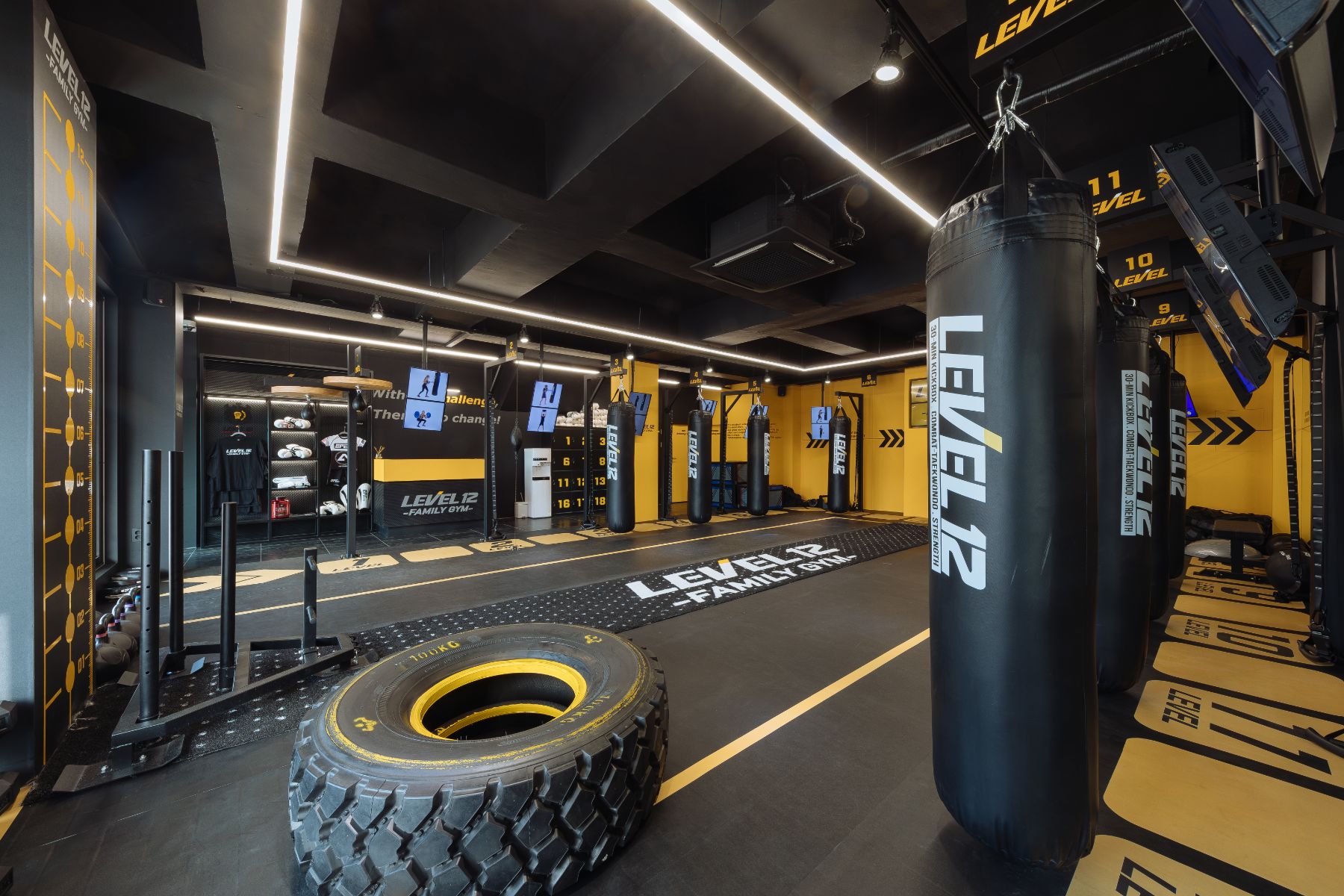 Level 12 Family Gym Showroom 7