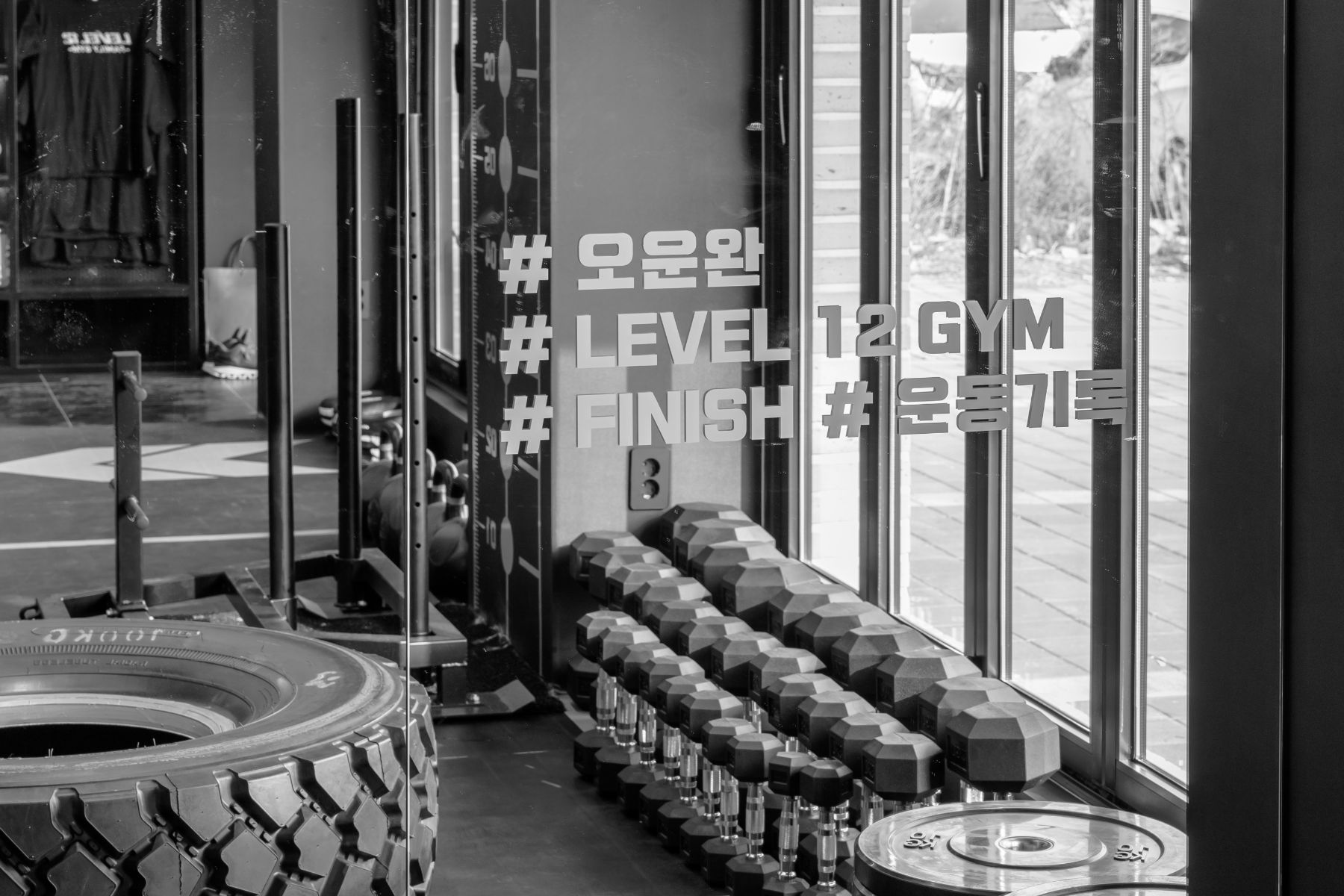 Level 12 Family Gym Showroom 3